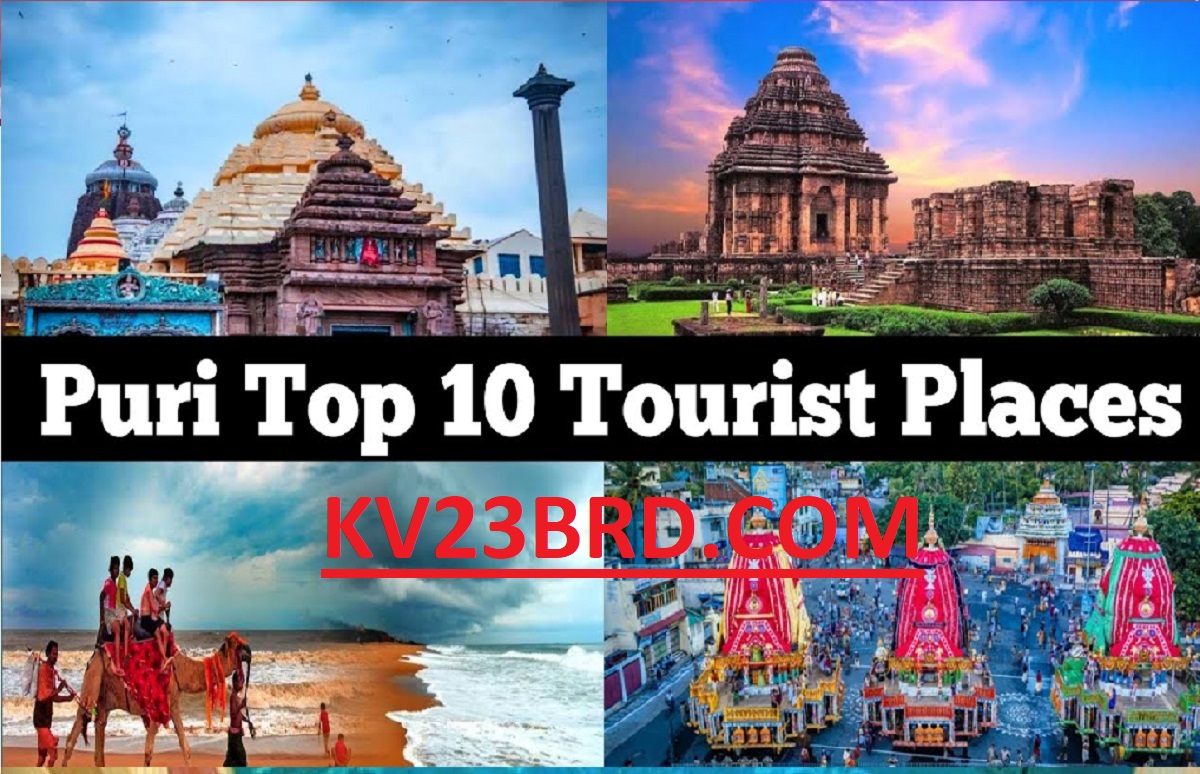 Places to Visit in Puri